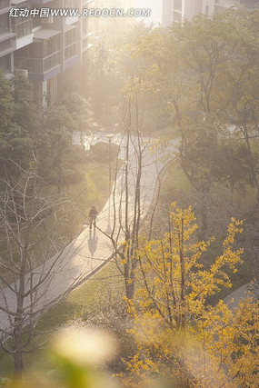 �ߴ��������