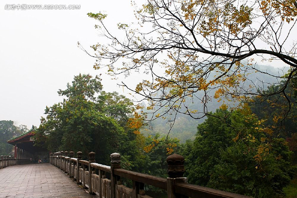 ���ǹ�԰����