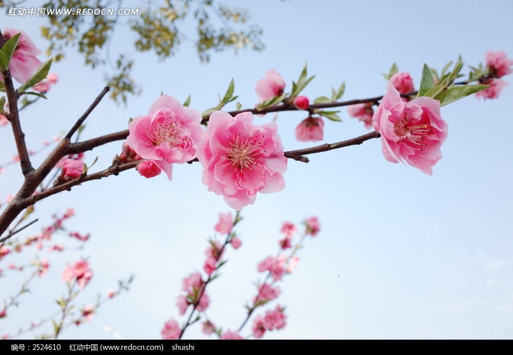 ������Ц���һ�ͼƬ