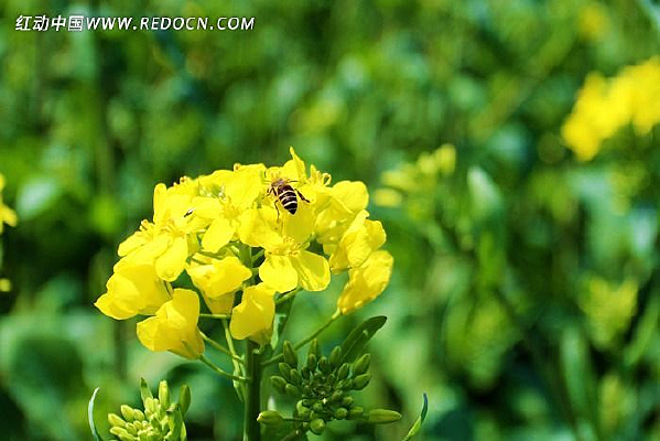 �۷�ͣ���ϵ�