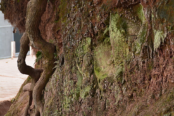 ������̦