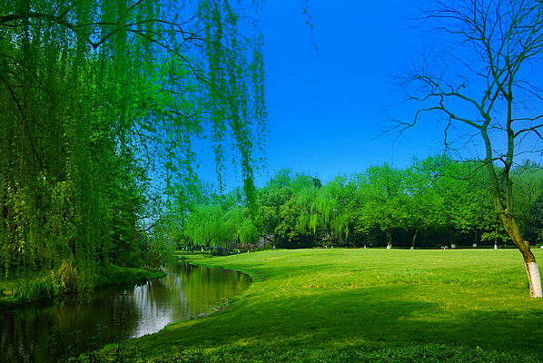 ������Ϫ����