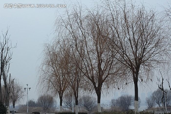 ��·����