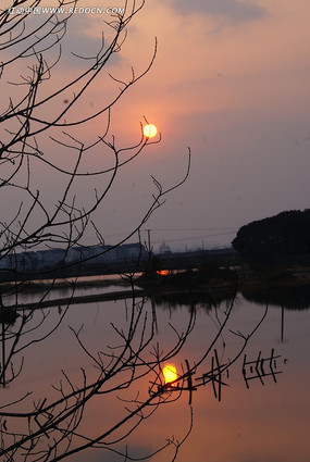 ������ϼ