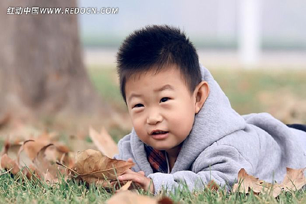 ſ�ڲݵص�С��