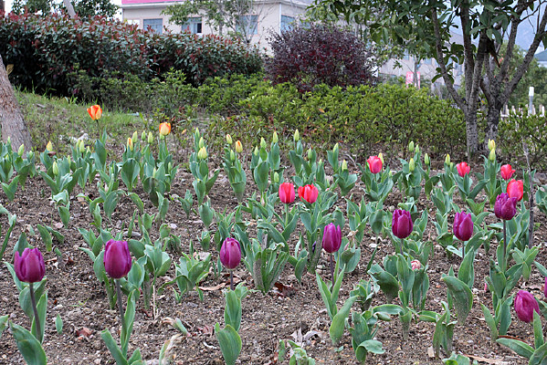 ��ػ���������