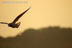 С�����ĳ��