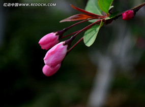 ���ۺ��Ļ�