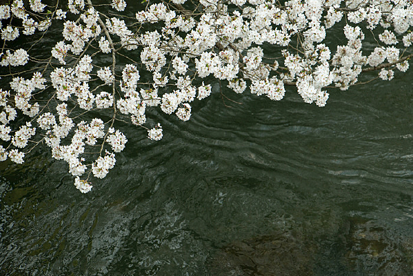 ̫����С��