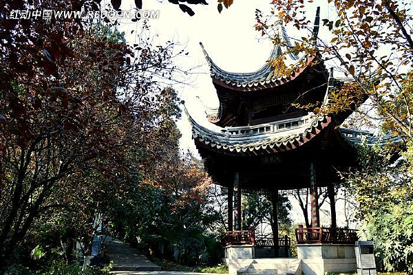 �ŵ����ͤ��