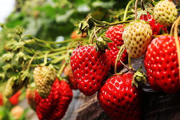 ˮ����ɫ�ɴ�