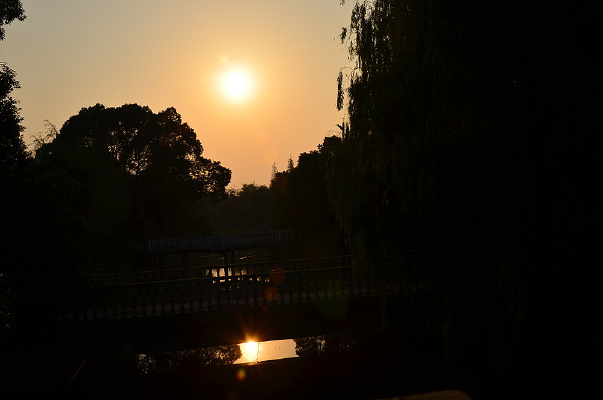 ɭ�ֹ�԰��������