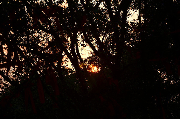 Ϧ������ɽ��԰