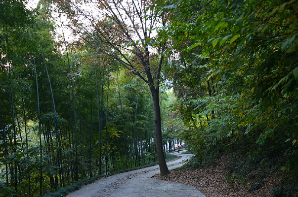 ��ɽ����