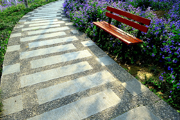 ��԰С���ʻ�