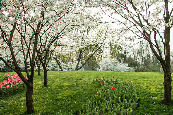 ����̫����ӣ��