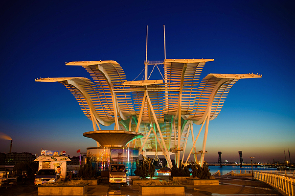 ��̲����