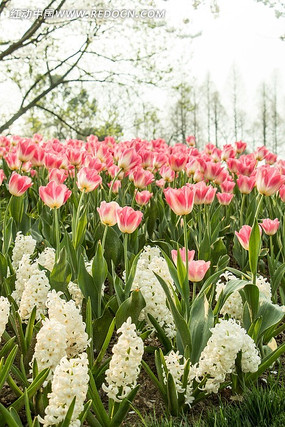 ʢ���ķ�����