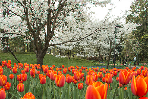 ̫�����������