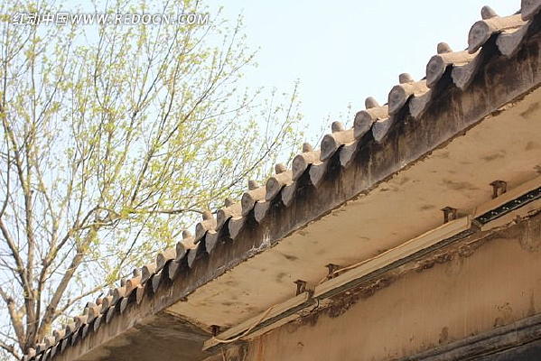 ��ͳ������Ƭ