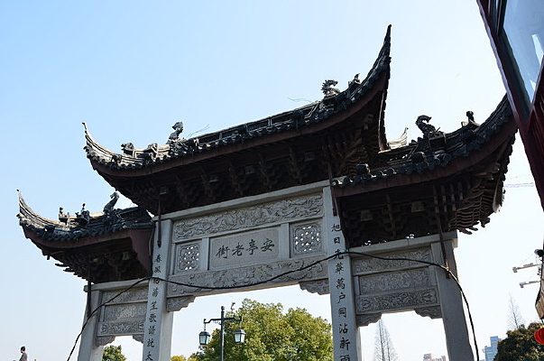 �Ž�������