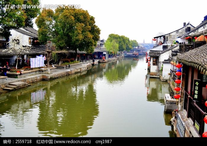 �����Ƴ��ӵ�ͼƬ