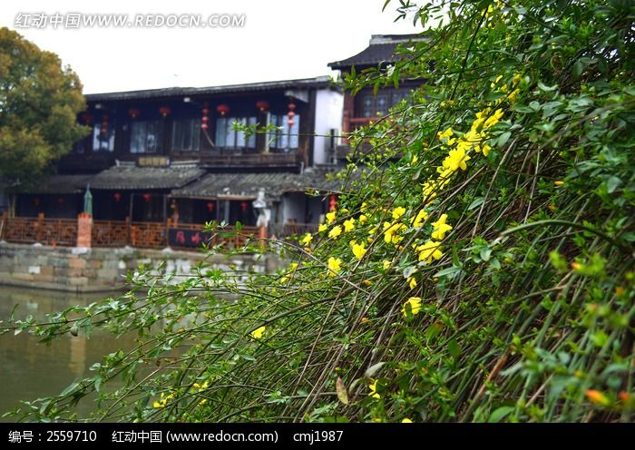 ����ӭ����ͼƬ