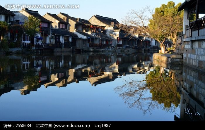 �����Ž�������ͼƬ