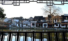 �����Ž���