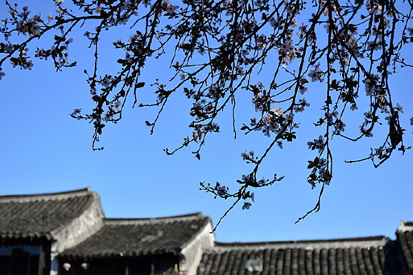 �����Ž���