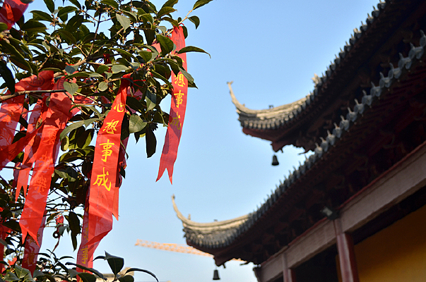 �Ž���ǰ��