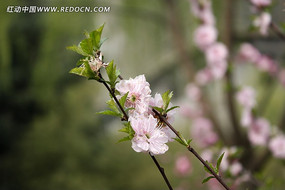 �ۺ��һ�����