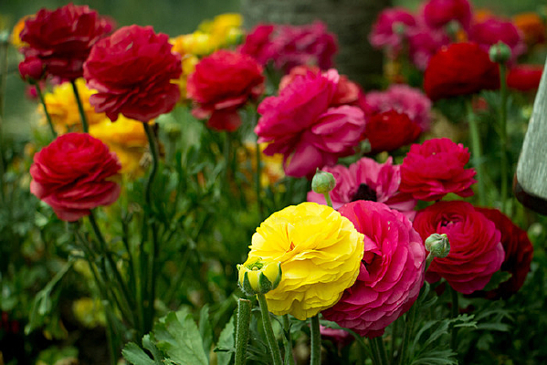 ���ݿ���