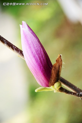 ���ߴ���