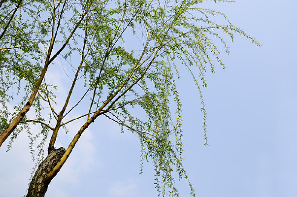 �����´���