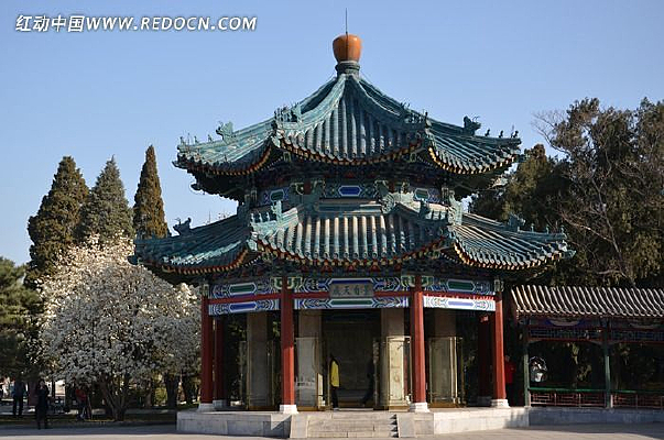 �������ͤ