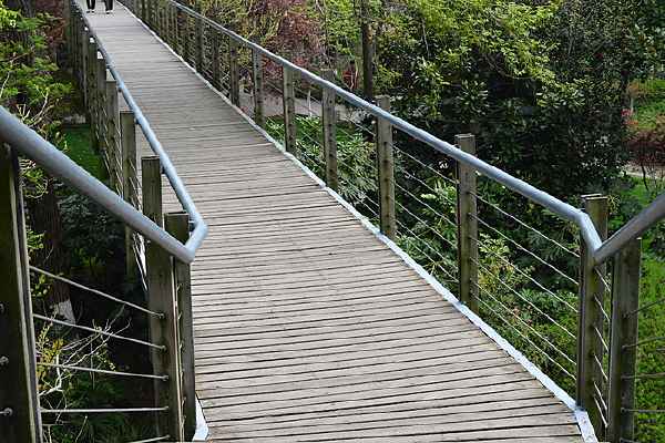 ������ľ��·