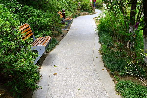 ��԰�ﳤ����ľ��