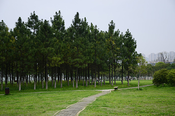 ���ֺ�����