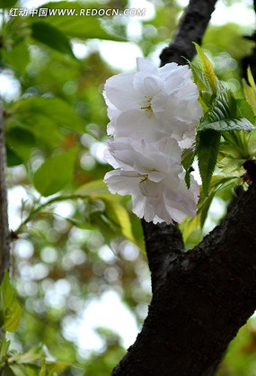 ���д���