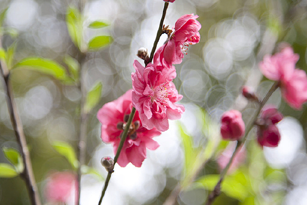 �һ�����