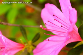 �ž�����