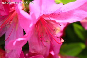 ����ӳɽ��