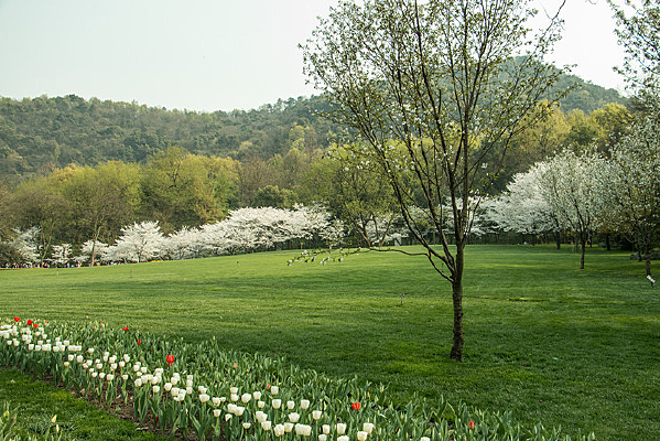 ��԰����