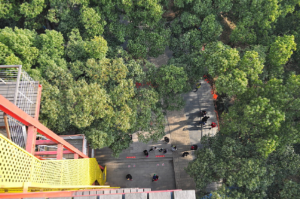 �ɽ���ɽɭ�ֹ�԰