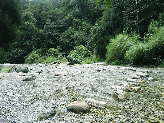 ��üɽ����