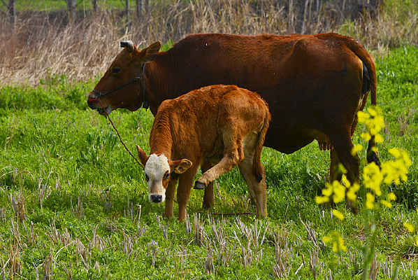 �����ݵ�