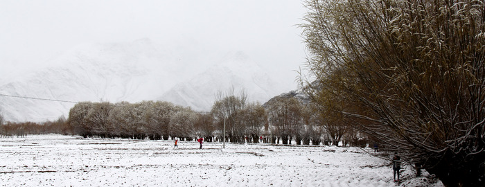 ɽ��������ѩ����