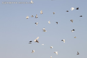 ����ĺ�ƽ��