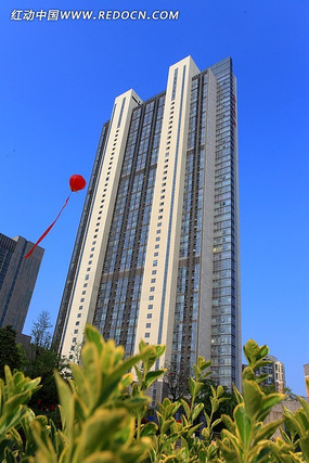 �������㳡